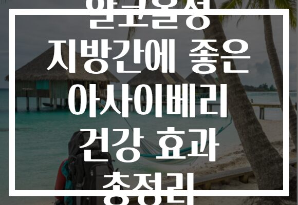 알코올성 지방간에 좋은 아사이베리 건강 효과 총정리