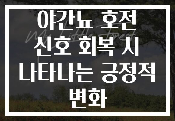 야간뇨 호전 신호 회복 시 나타나는 긍정적 변화