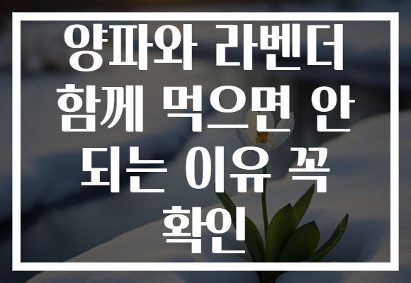 양파와 라벤더 함께 먹으면 안 되는 이유 꼭 확인