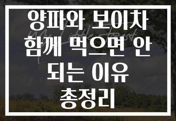 양파와 보이차 함께 먹으면 안 되는 이유 총정리