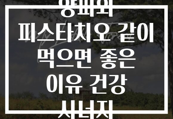 양파와 피스타치오 같이 먹으면 좋은 이유 건강 시너지