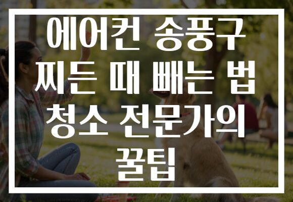 에어컨 송풍구 찌든 때 빼는 법 청소 전문가의 꿀팁