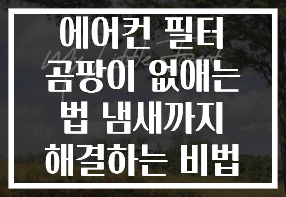 에어컨 필터 곰팡이 없애는 법 냄새까지 해결하는 비법