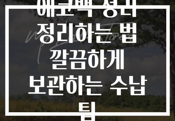 에코백 정리 정리하는 법 깔끔하게 보관하는 수납 팁