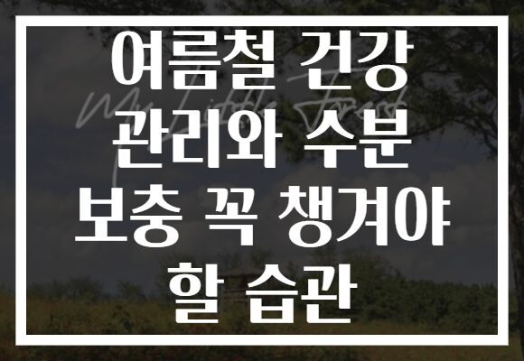 여름철 건강 관리와 수분 보충 꼭 챙겨야 할 습관
