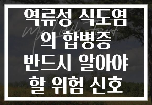 역류성 식도염 의 합병증 반드시 알아야 할 위험 신호