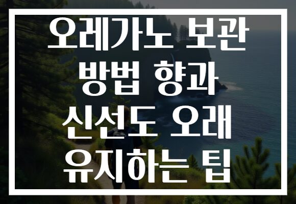 오레가노 보관 방법 향과 신선도 오래 유지하는 팁