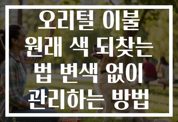 오리털 이불 원래 색 되찾는 법 변색 없이 관리하는 방법
