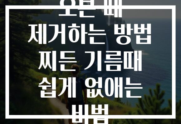 오븐 때 제거하는 방법 찌든 기름때 쉽게 없애는 비법