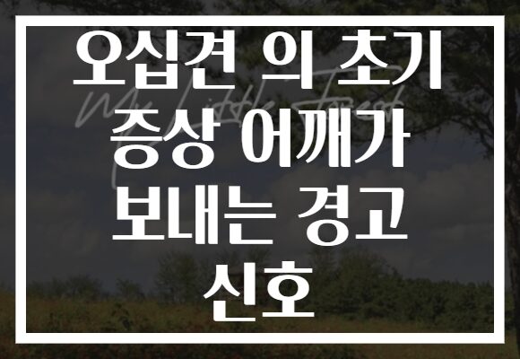 오십견 의 초기 증상 어깨가 보내는 경고 신호