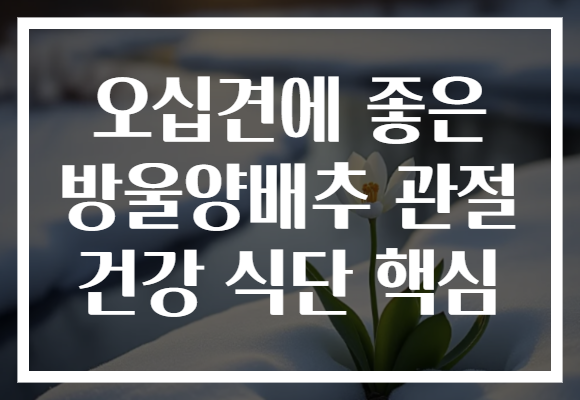 오십견에 좋은 방울양배추 관절 건강 식단 핵심