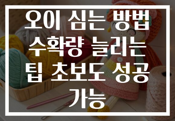오이 심는 방법 수확량 늘리는 팁 초보도 성공 가능