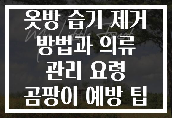 옷방 습기 제거 방법과 의류 관리 요령 곰팡이 예방 팁