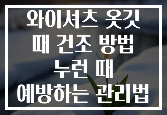 와이셔츠 옷깃 때 건조 방법 누런 때 예방하는 관리법
