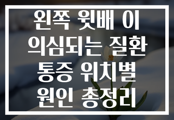 왼쪽 윗배 이 의심되는 질환 통증 위치별 원인 총정리
