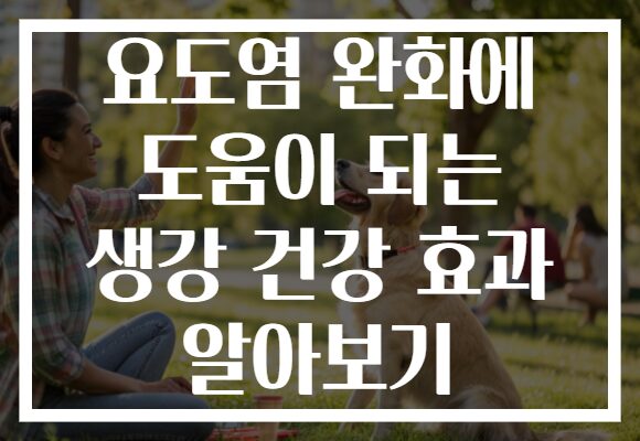 요도염 완화에 도움이 되는 생강 건강 효과 알아보기