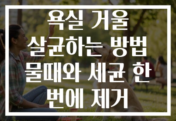 욕실 거울 살균하는 방법 물때와 세균 한 번에 제거