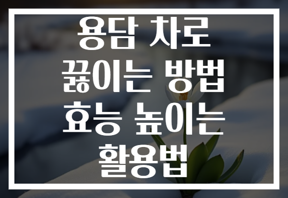 용담 차로 끓이는 방법 효능 높이는 활용법