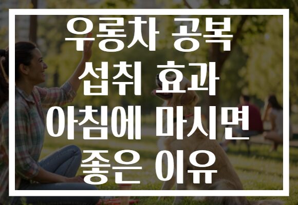 우롱차 공복 섭취 효과 아침에 마시면 좋은 이유
