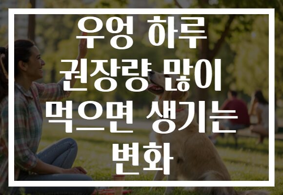 우엉 하루 권장량 많이 먹으면 생기는 변화