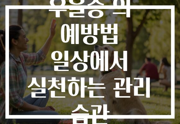 우울증 의 예방법 일상에서 실천하는 관리 습관