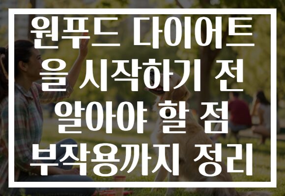 원푸드 다이어트 을 시작하기 전 알아야 할 점 부작용까지 정리