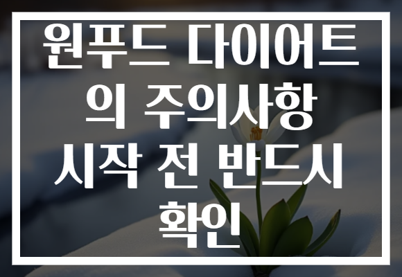 원푸드 다이어트 의 주의사항 시작 전 반드시 확인