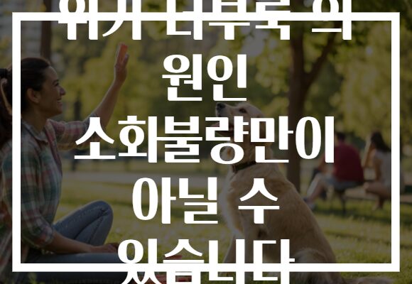위가 더부룩 의 원인 소화불량만이 아닐 수 있습니다