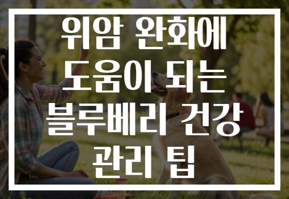 위암 완화에 도움이 되는 블루베리 건강 관리 팁