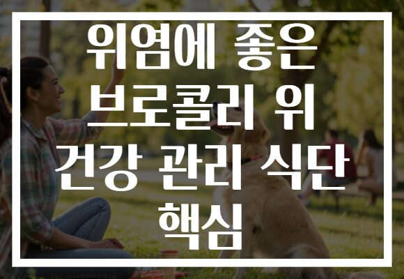 위염에 좋은 브로콜리 위 건강 관리 식단 핵심