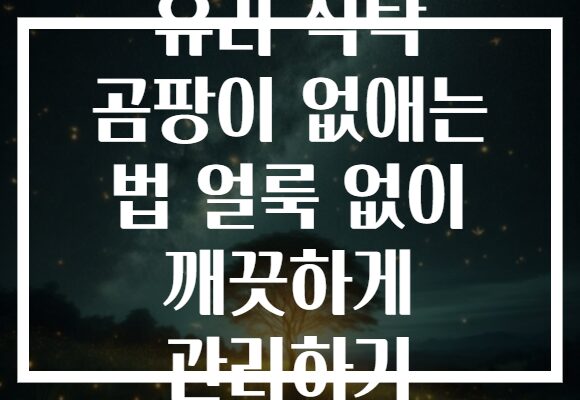 유리 식탁 곰팡이 없애는 법 얼룩 없이 깨끗하게 관리하기