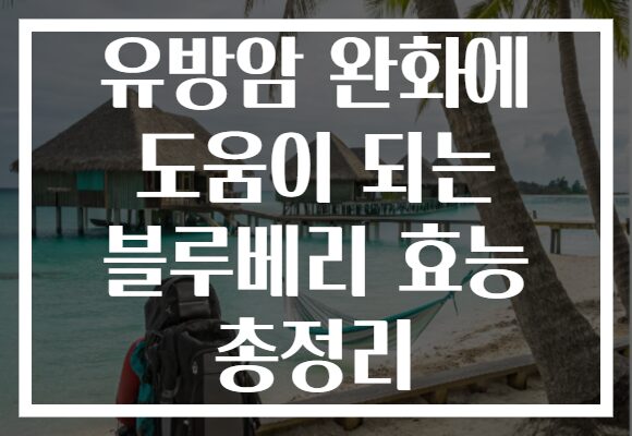 유방암 완화에 도움이 되는 블루베리 효능 총정리