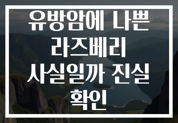 유방암에 나쁜 라즈베리 사실일까 진실 확인