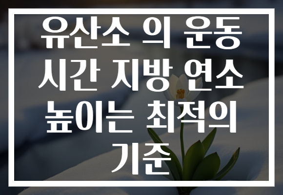 유산소 의 운동 시간 지방 연소 높이는 최적의 기준