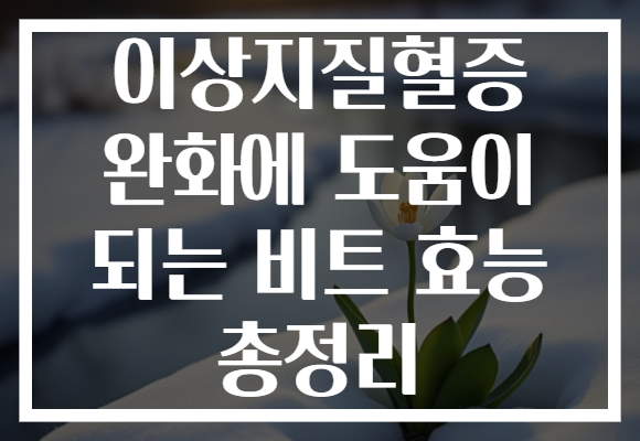 이상지질혈증 완화에 도움이 되는 비트 효능 총정리