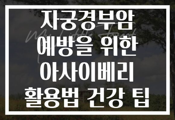 자궁경부암 예방을 위한 아사이베리 활용법 건강 팁