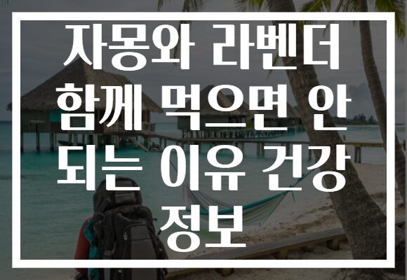 자몽와 라벤더 함께 먹으면 안 되는 이유 건강 정보