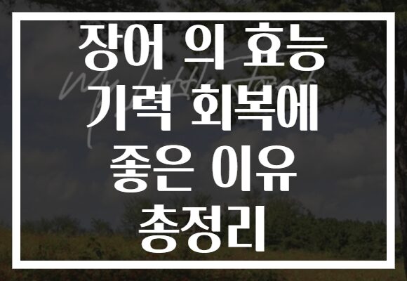 장어 의 효능 기력 회복에 좋은 이유 총정리