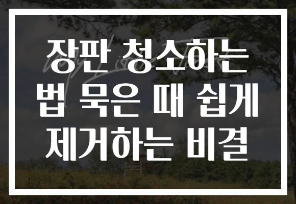 장판 청소하는 법 묵은 때 쉽게 제거하는 비결