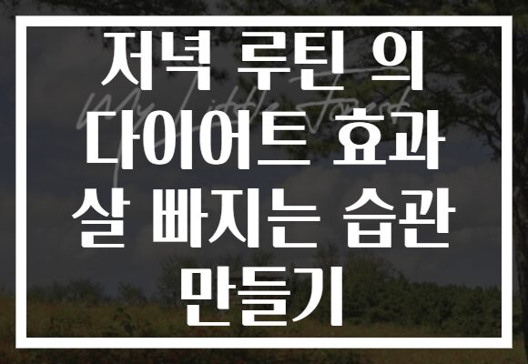 저녁 루틴 의 다이어트 효과 살 빠지는 습관 만들기