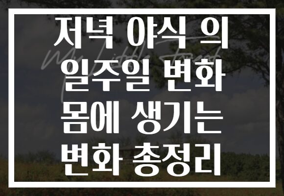 저녁 야식 의 일주일 변화 몸에 생기는 변화 총정리