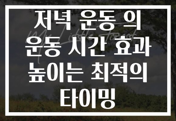 저녁 운동 의 운동 시간 효과 높이는 최적의 타이밍