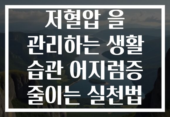 저혈압 을 관리하는 생활 습관 어지럼증 줄이는 실천법