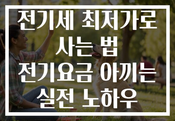 전기세 최저가로 사는 법 전기요금 아끼는 실전 노하우