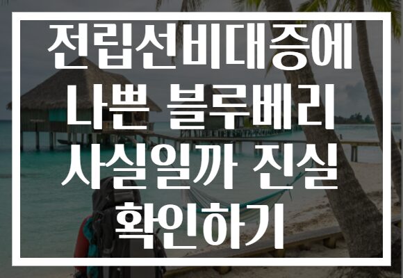전립선비대증에 나쁜 블루베리 사실일까 진실 확인하기