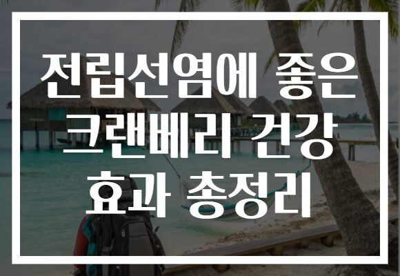 전립선염에 좋은 크랜베리 건강 효과 총정리