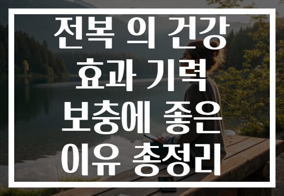전복 의 건강 효과 기력 보충에 좋은 이유 총정리