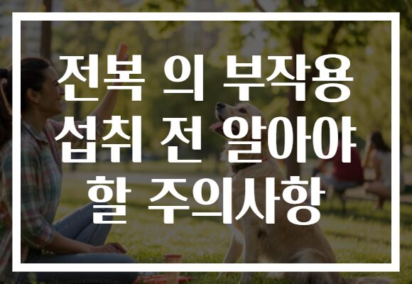 전복 의 부작용 섭취 전 알아야 할 주의사항