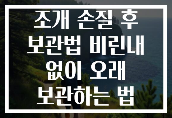 조개 손질 후 보관법 비린내 없이 오래 보관하는 법
