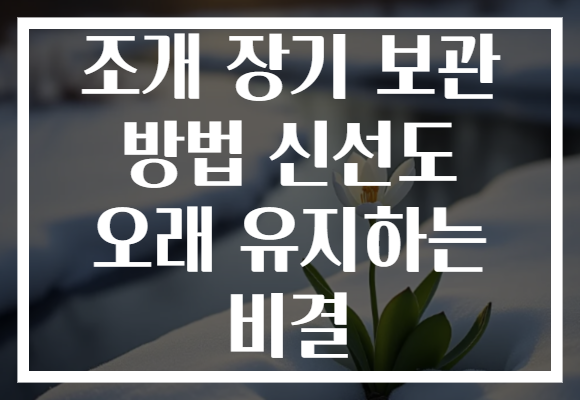 조개 장기 보관 방법 신선도 오래 유지하는 비결
